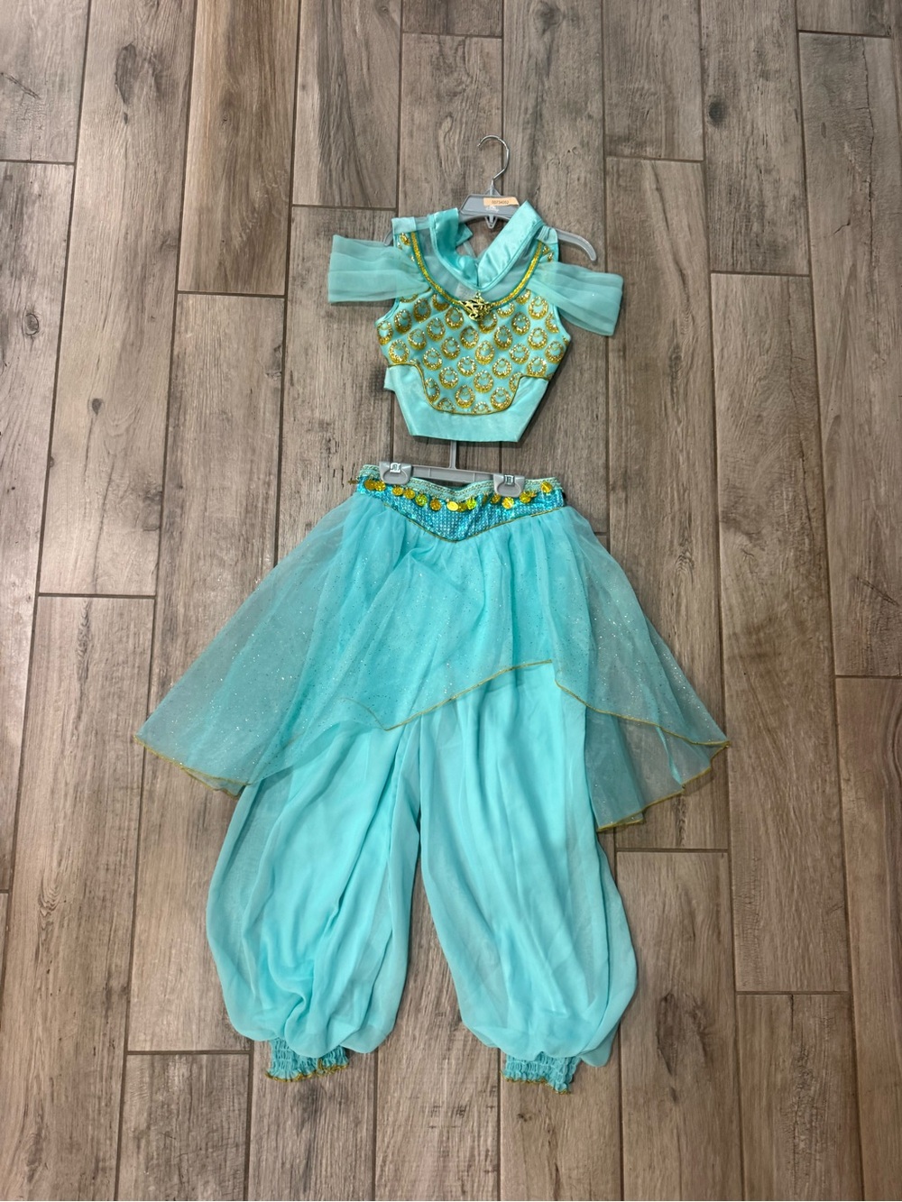 Disney jasmine costume